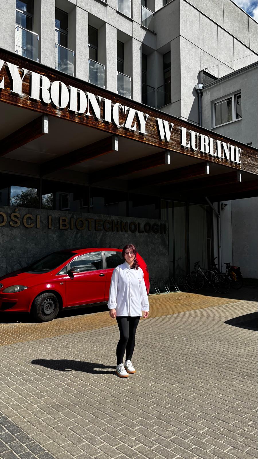 İçerikle ilgili görsel 2